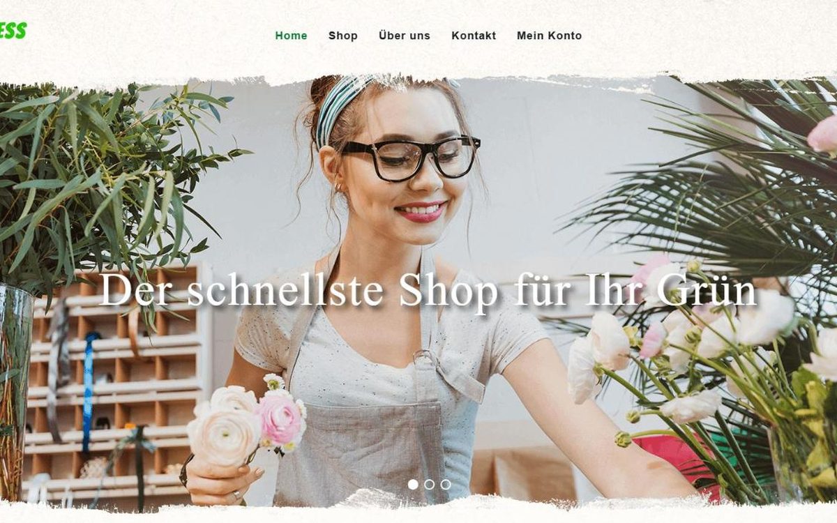Startseite des Onlineshops greenXpress